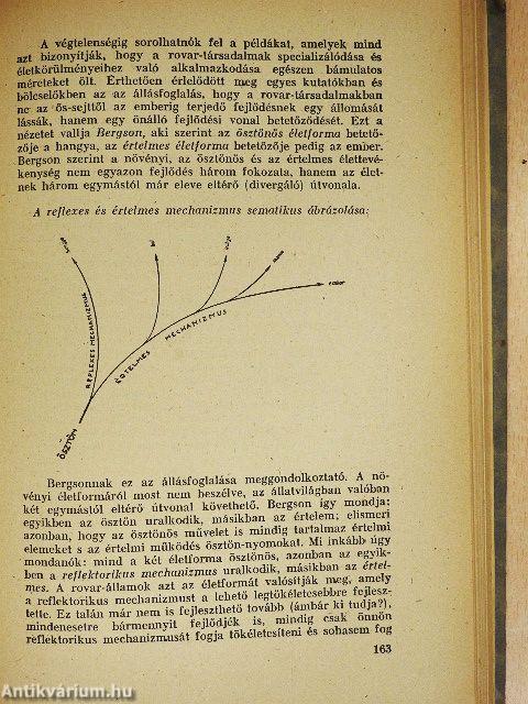 Az ösztönök világa