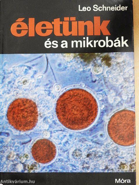 Életünk és a mikrobák