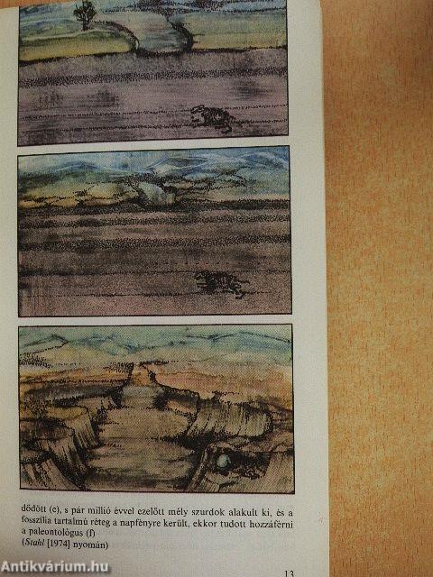 Az eltűnt élet nyomában