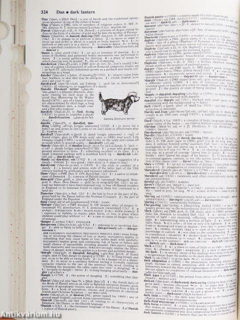 Webster's Ninth New Collegiate Dictionary