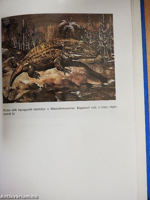 Bolygóvilágunk csodálatos titkai