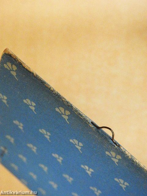 Bioépítészet környezetbarát építőknek