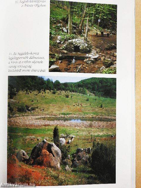 Az aggteleki-karszt barlangjai