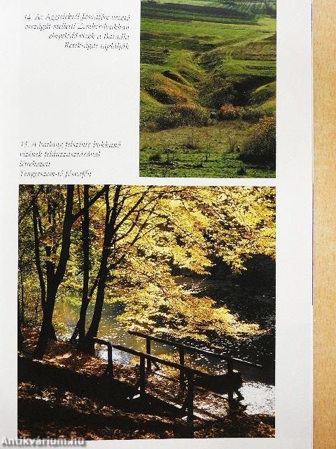 Az aggteleki-karszt barlangjai