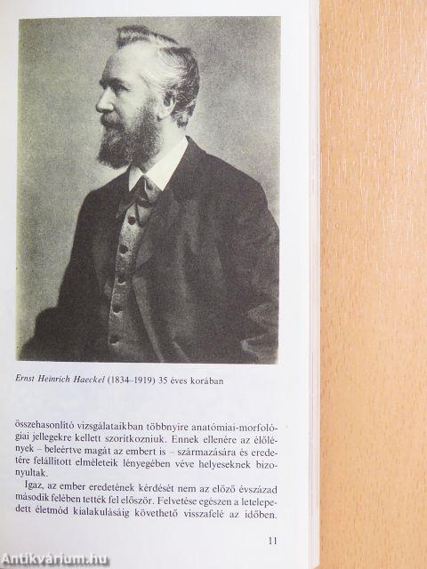 Emberősök, ősemberek