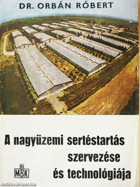 A nagyüzemi sertéstartás szervezése és technológiája
