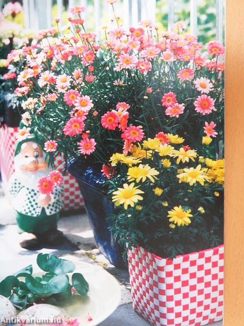 Kertészkedés kert nélkül