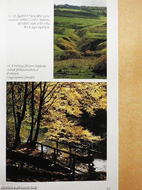 Az aggteleki-karszt barlangjai