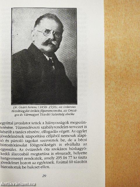 A veszprémi tűzoltóság története