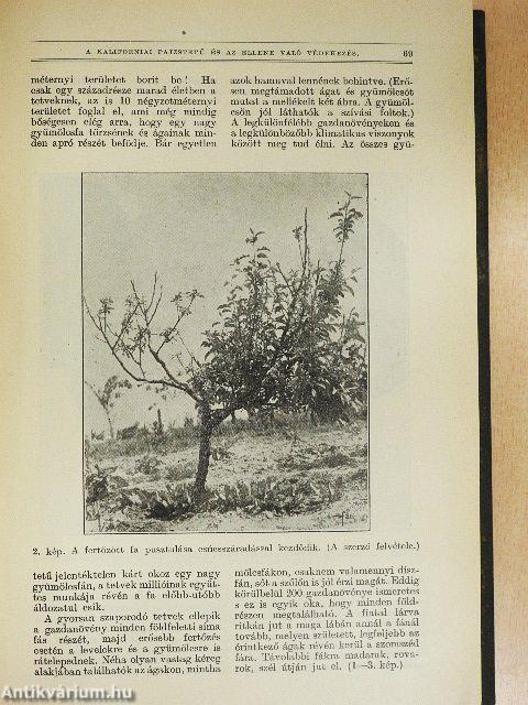 Természettudományi Közlöny 1934. január-december/Pótfüzetek a Természettudományi Közlönyhöz 1934. január-december