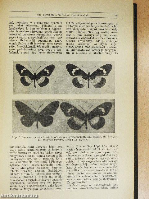 Természettudományi Közlöny 1934. január-december/Pótfüzetek a Természettudományi Közlönyhöz 1934. január-december