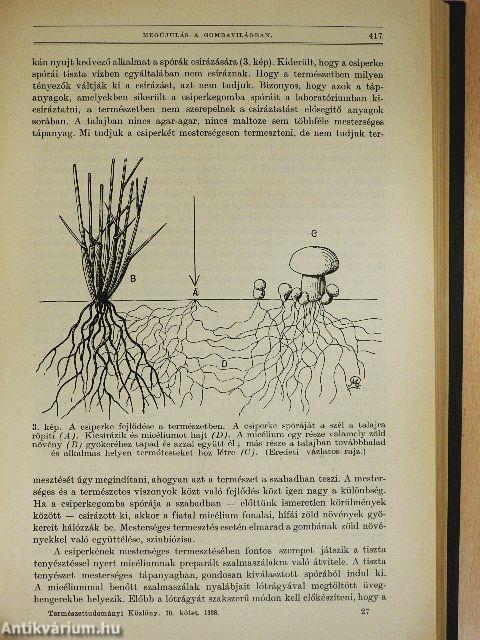 Természettudományi Közlöny 1938. január-december/Pótfüzetek a Természettudományi Közlönyhöz 1938. január-december