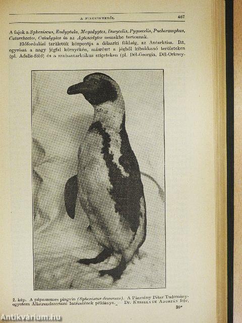 Természettudományi Közlöny 1938. január-december/Pótfüzetek a Természettudományi Közlönyhöz 1938. január-december