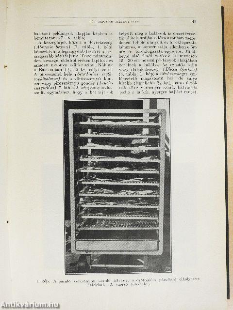 Természettudományi Közlöny 1939. január-december/Pótfüzetek a Természettudományi Közlönyhöz 1939. január-december