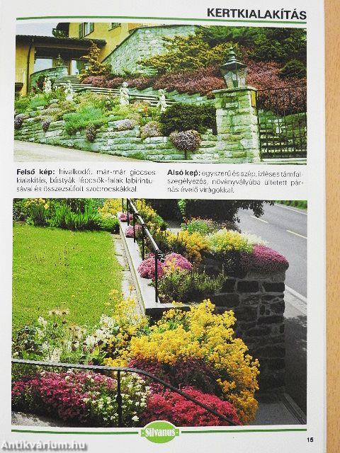 Díszfák és kertek képekben