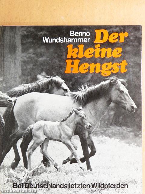 Der Kleine Hengst