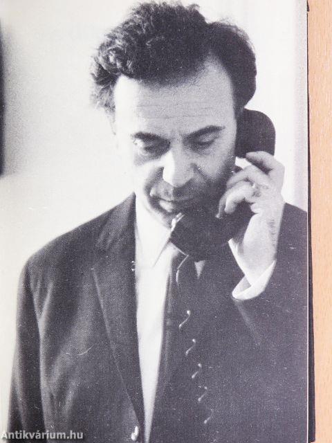 Antik tanulmányok II.