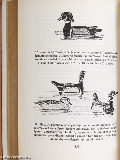 Válogatott tanulmányok