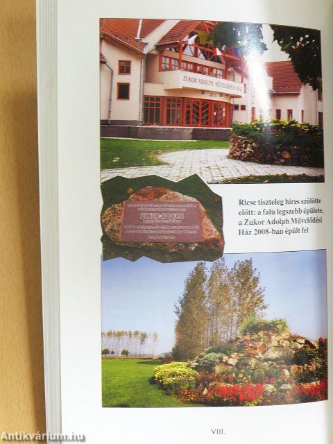 A siker helye Hollywood