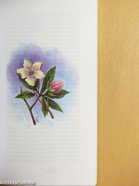 Szorítsd meg a kezem!