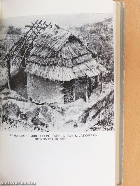 A római művészet világa