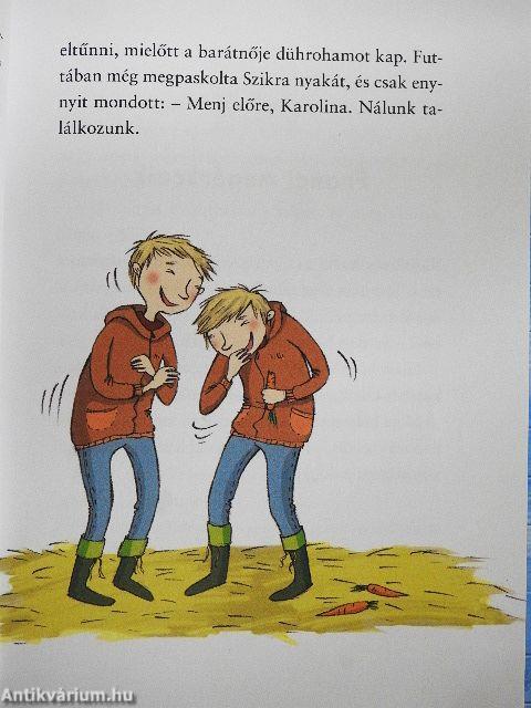 Csajbanda a Csillag-tanyán