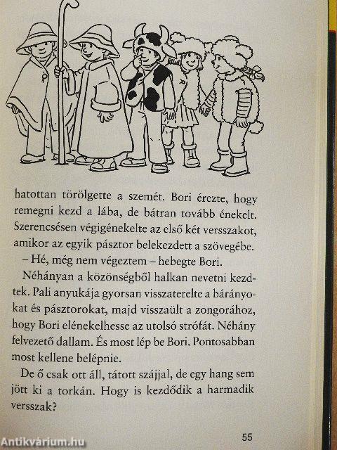 Bori és a nem mindennapi karácsony