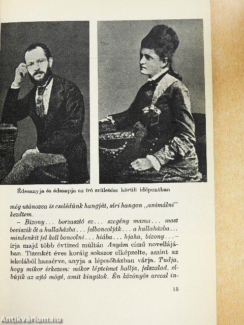 Karinthy Frigyes alkotásai és vallomásai tükrében