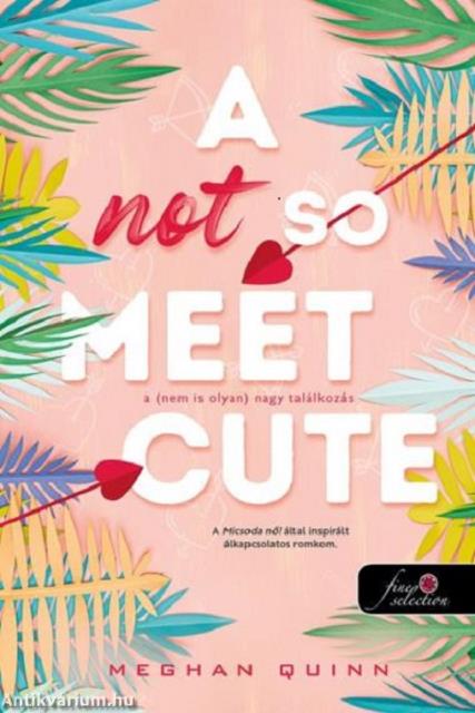 A Not So Meet Cute - A (nem is olyan) nagy találkozás