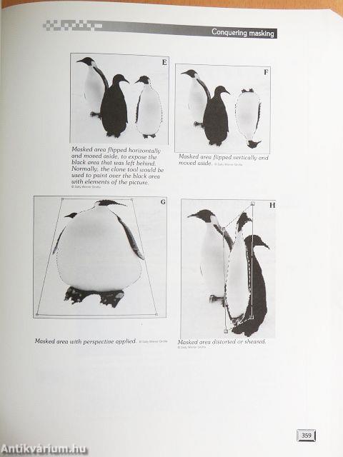 Digital Imaging for Visual Artists