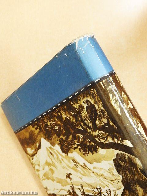 Az Egyenlítőtől az Északi-fokig