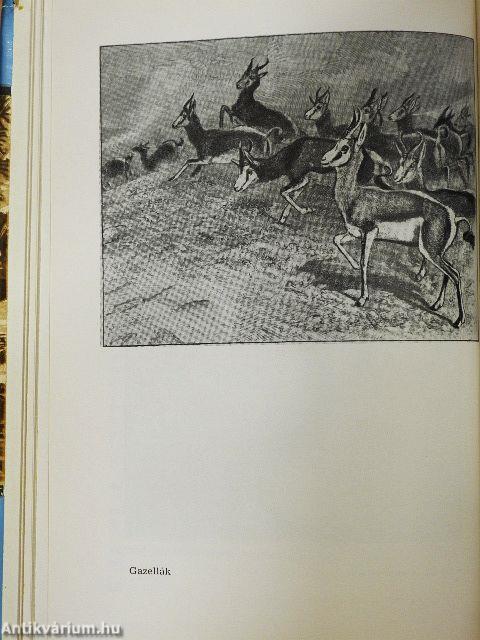 Az Egyenlítőtől az Északi-fokig