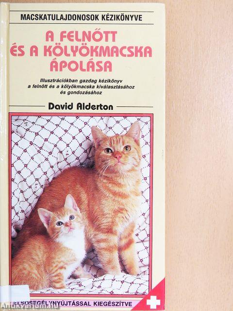 A felnőtt és a kölyökmacska ápolása