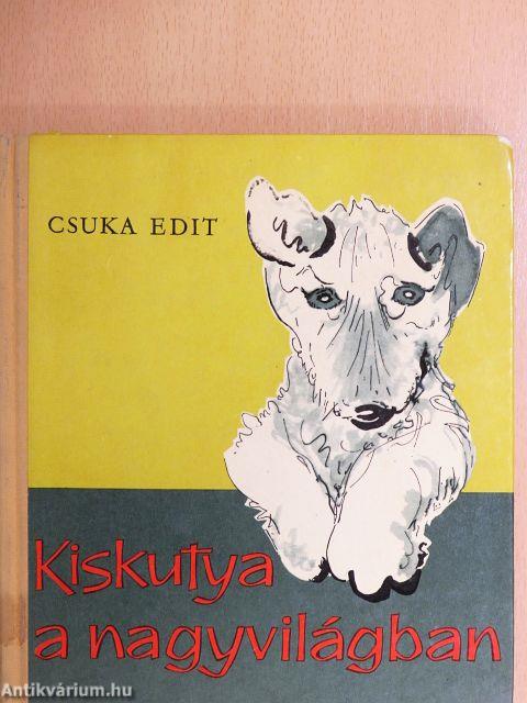 Kiskutya a nagyvilágban