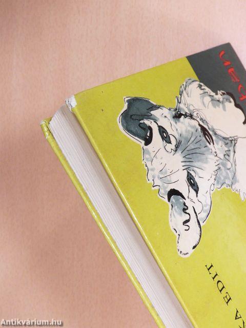 Kiskutya a nagyvilágban