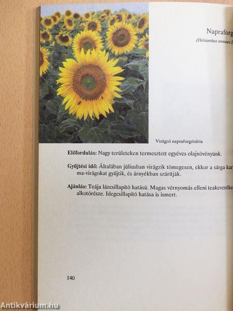 Ha már a gyógyszerek nem segítenek....