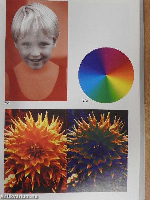 Digital Imaging for Visual Artists