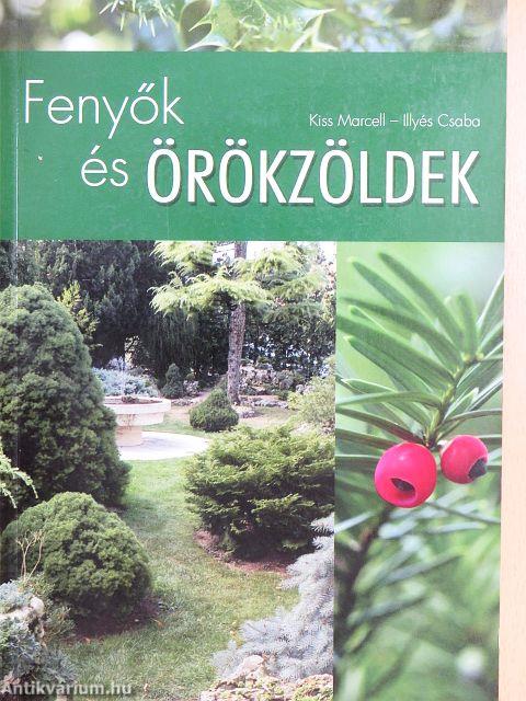 Fenyők és örökzöldek
