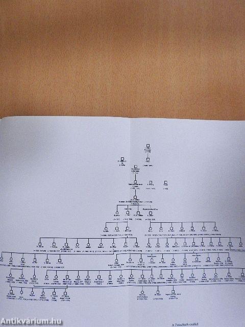 Patachich Gábor kalocsai érsek élete és restaurációs tevékenysége