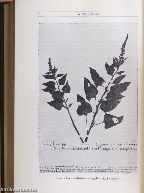 Természettudományi Közlöny 1915. január-december/Pótfüzetek a Természettudományi Közlönyhöz 1915. január-december