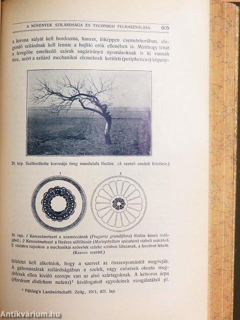 Természettudományi Közlöny 1913. január-december 