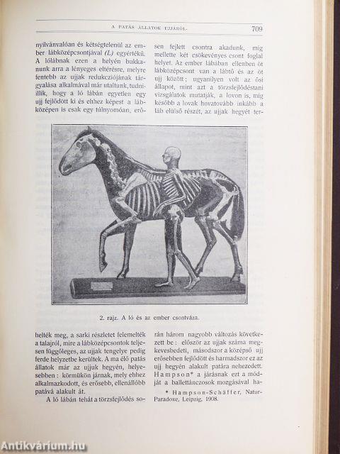 Természettudományi Közlöny 1909. január-december/Pótfüzetek a Természettudományi Közlönyhöz 1909. január-december