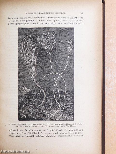 Természettudományi Közlöny 1887. január-december