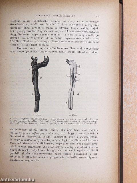 Természettudományi Közlöny 1887. január-december