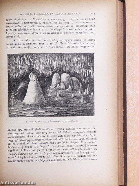 Természettudományi Közlöny 1887. január-december