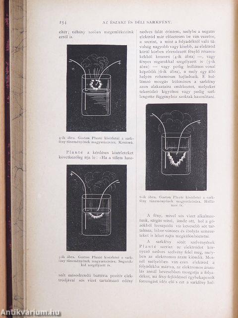 Természettudományi Közlöny 1885. január-december