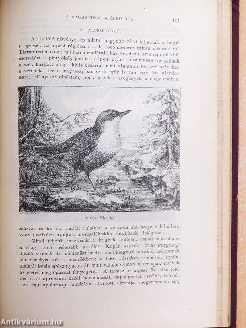 Természettudományi Közlöny 1888. január-december/Pótfüzetek a Természettudományi Közlönyökhöz 1888. január-december