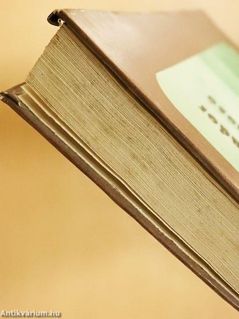 A titkos várfolyosó