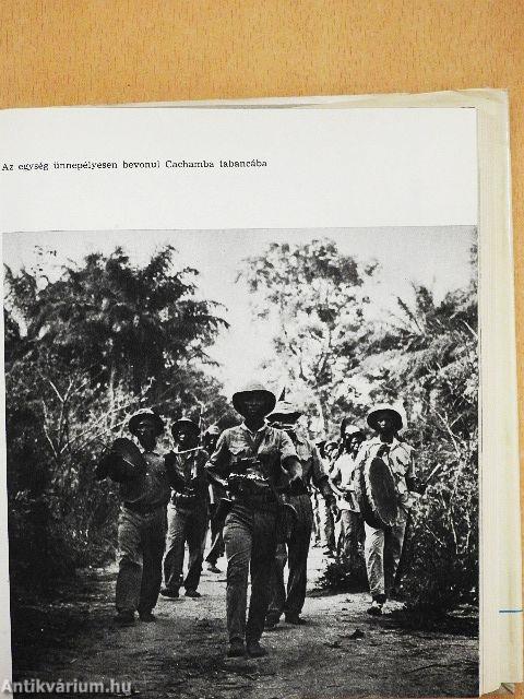 Szabadságharcosok között Afrikában