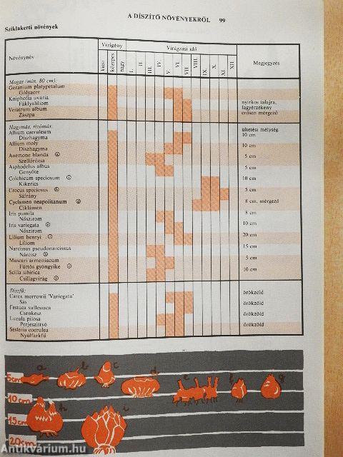 Házikerti kézikönyv